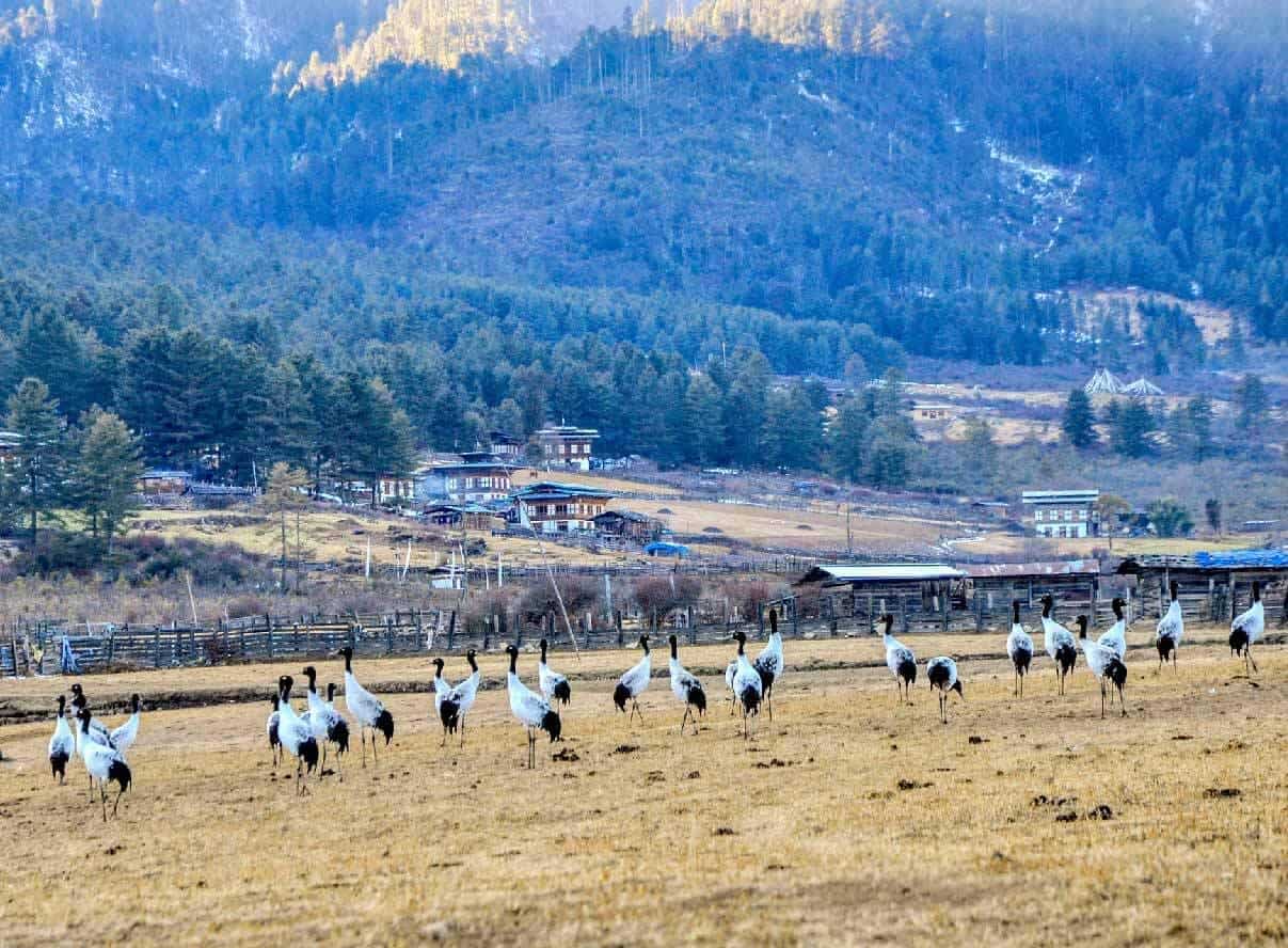 How Sustainability and Gross National Happiness impact daily life in Bhutan