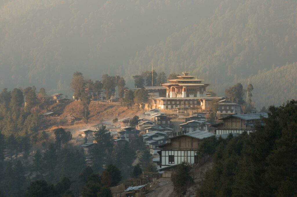Beautiful Bhutanese buildings